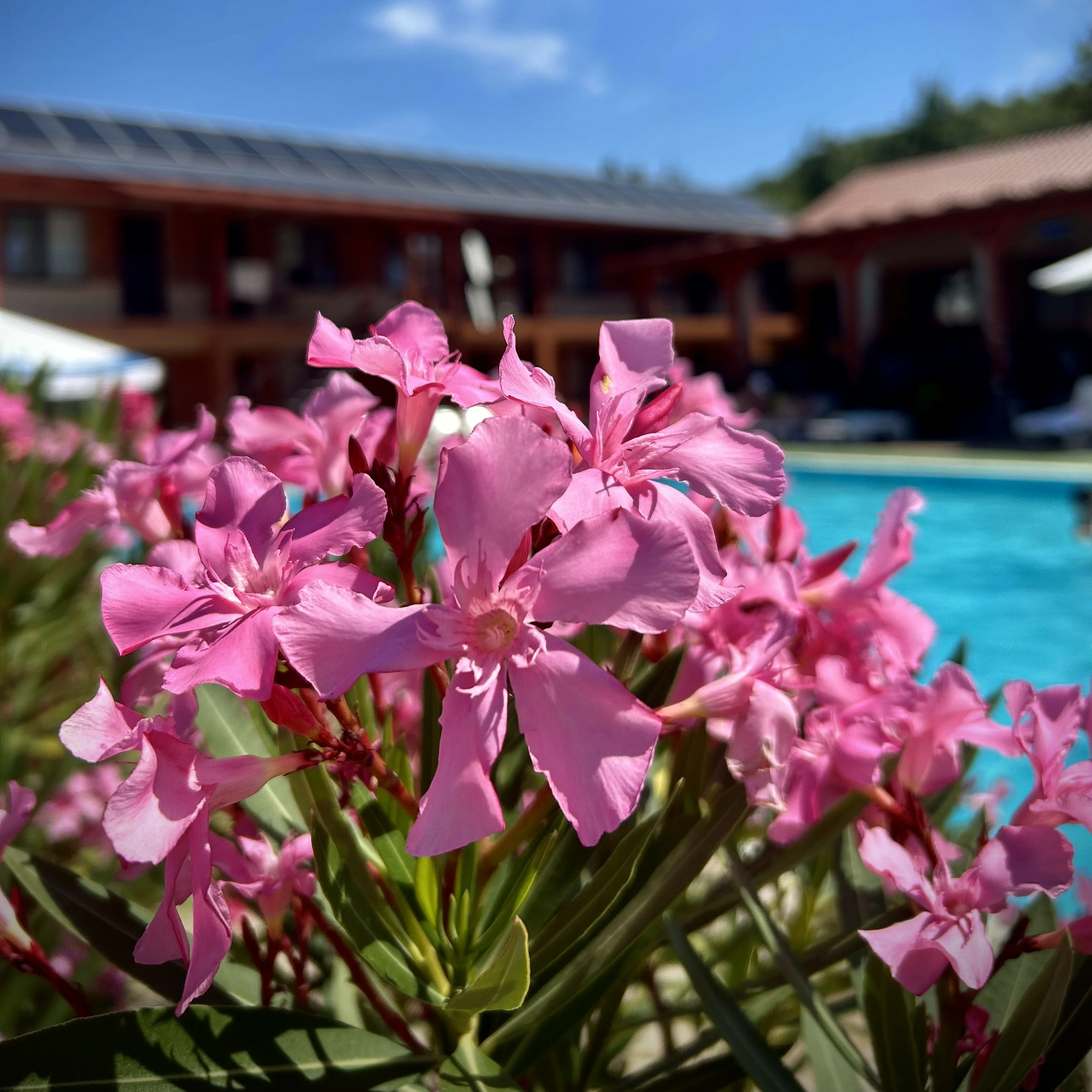 Гостинний дім Александрія